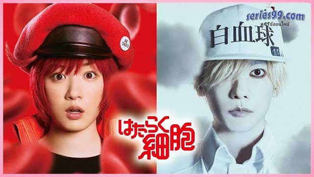 ดูหนัง เซลล์ขยันพันธุ์เดือด พากย์ไทย 2024 ดูหนัง เซลล์ขยันพันธุ์เดือด พากย์ไทย 2024