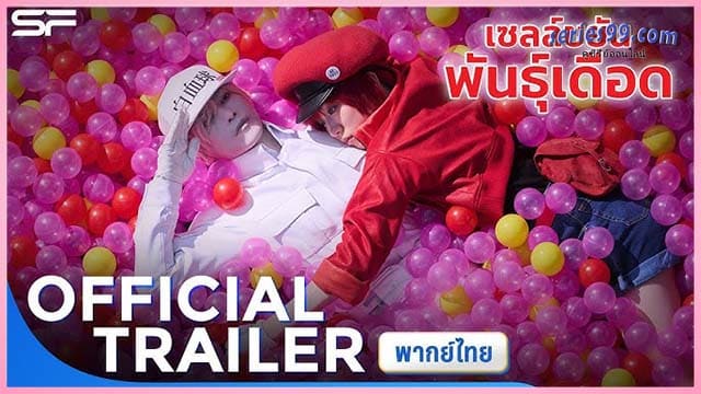 เซลล์ขยันพันธุ์เดือด พากย์ไทย 2025 Cells at Work ดูหนัง เซลล์ขยันพันธุ์เดือด พากย์ไทย 2025 Cells at Work ดูหนัง